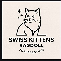 Allevamento gatti ragdoll cuccioli